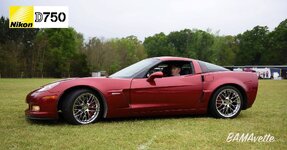 IMG_9704.JPG