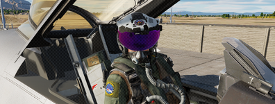 FlyLikeAGirl.png