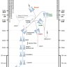 A/A Commit Timeline