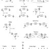 DCS: F-16C Formation Card