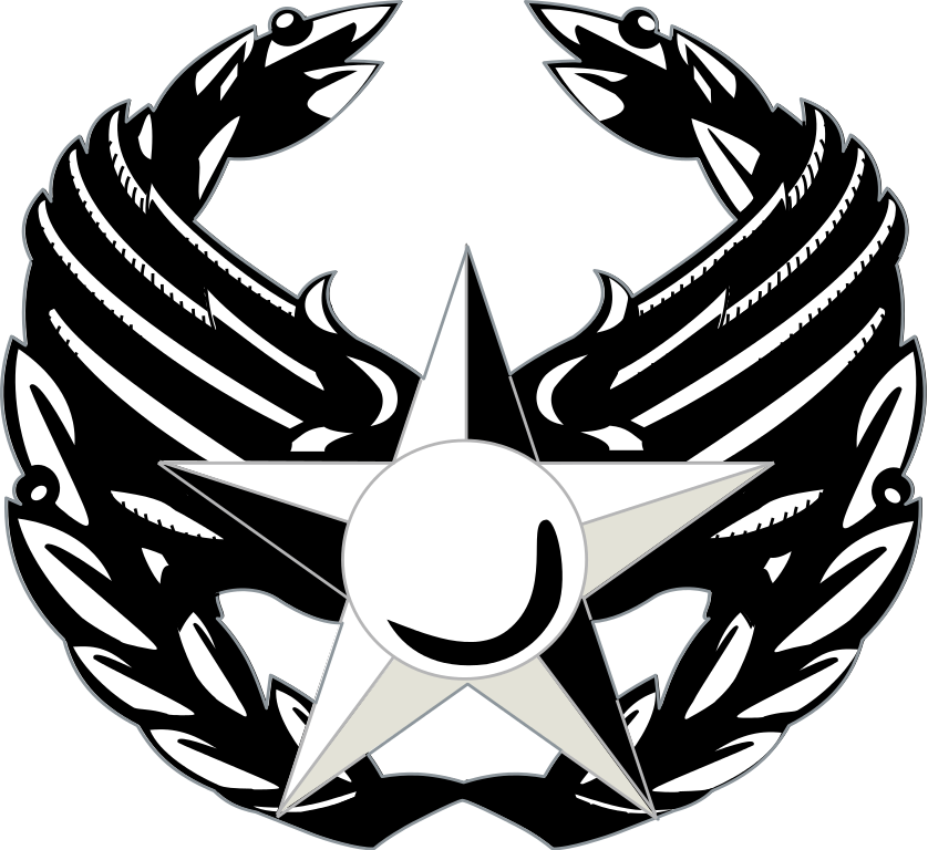 v303rd Fighter Group command emblem